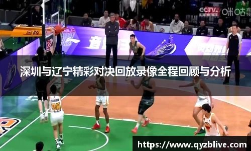 深圳与辽宁精彩对决回放录像全程回顾与分析